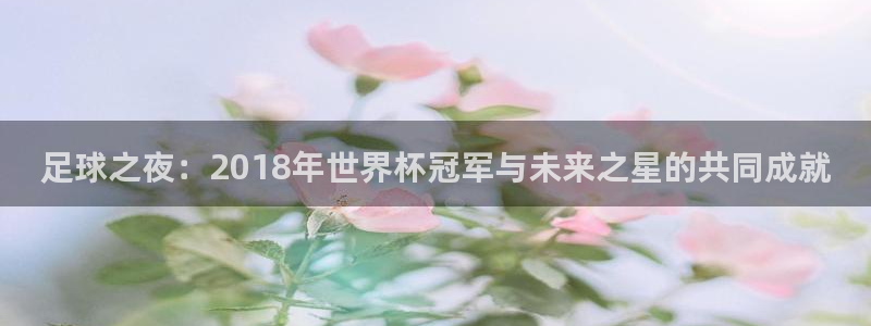 2026世预赛全部赛程：足球之夜：2018年世界杯冠军与未来之星的共同成就