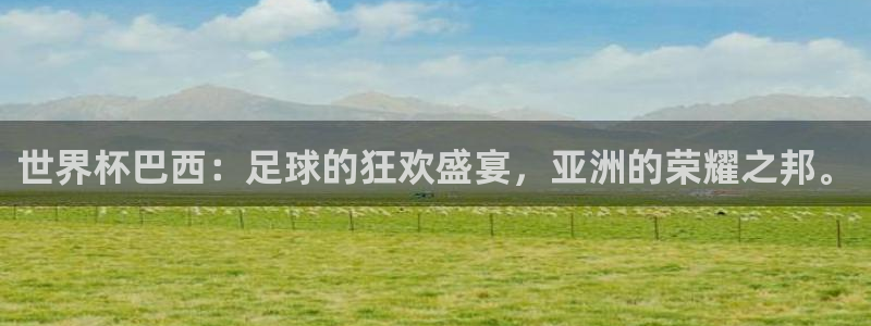 2026世预赛赛程：世界杯巴西：足球的狂欢盛宴，亚洲的荣耀之邦。