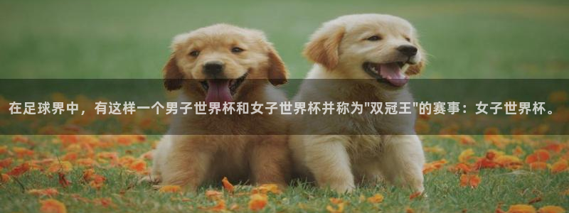世界杯在线直播入口：在足球界中，有这样一个男子世界杯和女子世界杯并称为\