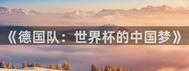 世界杯对阵表：《德国队：世界杯的中国梦》
