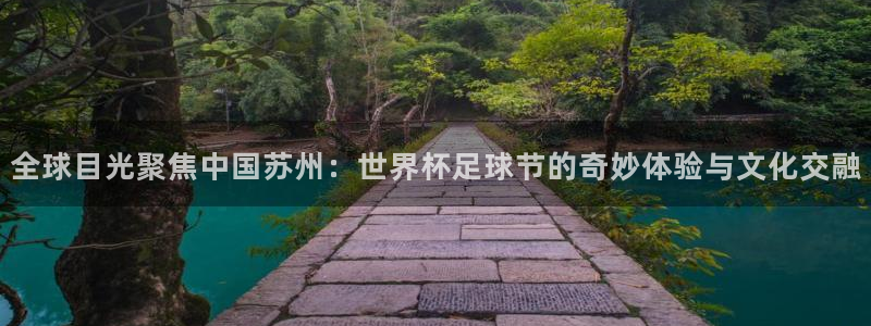 女足世界杯赛程：全球目光聚焦中国苏州：世界杯足球节的奇妙体验与文化交融