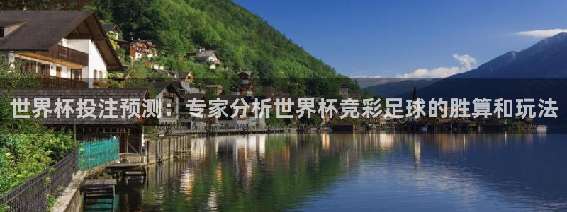 世界杯在线直播入口：世界杯投注预测：专家分析世界杯竞彩足球的胜算和玩法