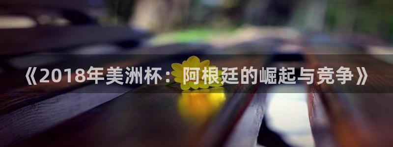 2026世界杯买球：《2018年美洲杯：阿根廷的崛起与竞争》