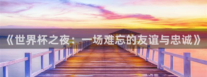 世界杯 直播：《世界杯之夜：一场难忘的友谊与忠诚》